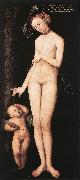 CRANACH, Lucas the Elder Venus and Cupid dsf oil painting on canvas